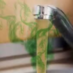water odor issues