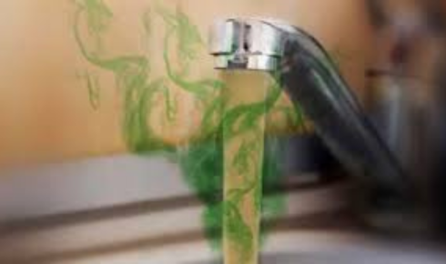 When Your Water Smells Off: A Quiet Guide to Understanding What’s Really Going On